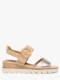 tan comb