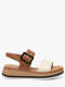 creme camel