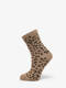 taupe gray bichette
