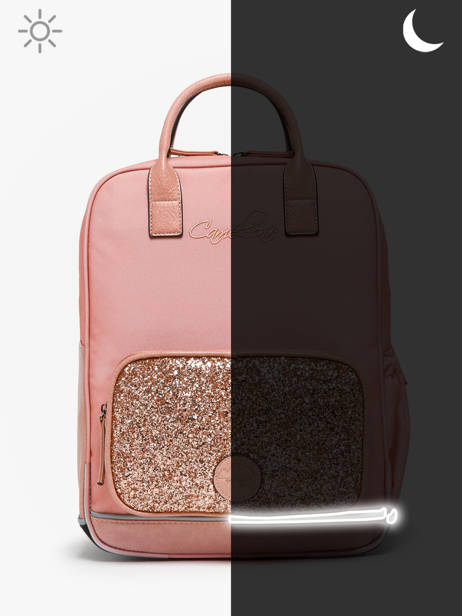 2-compartment Backpack Cameleon Pink vintage fantasy PBVGSD37 other view 7