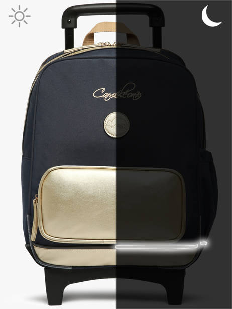 Sac A Dos à Roulettes 2 Compartiments Cameleon Bleu vintage fantasy SR40 vue secondaire 9