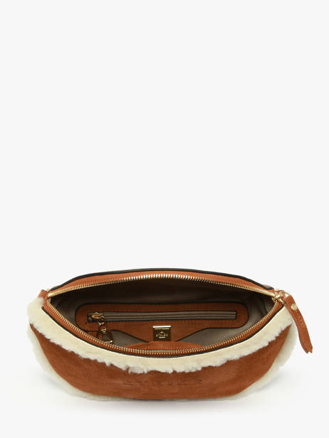 Belt Bag Alpin Leather Etrier Brown alpin EALP022M other view 3