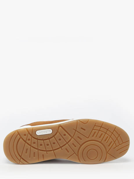 Sneakers Partner Piste  Lacoste Brown men SMA0071 other view 4