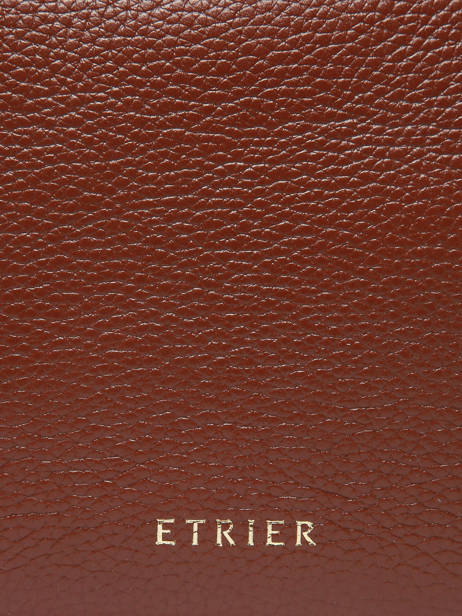 Handbag Tradition Leather Etrier Brown tradition ETRA052M other view 5