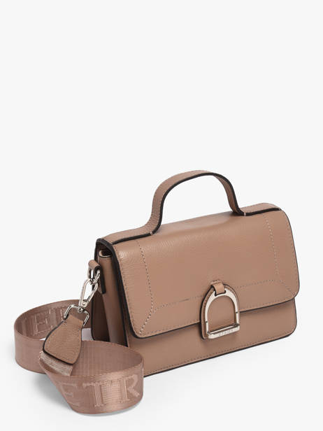 Small Leather Altesse Crossbody Bag Etrier Beige altesse EALT048S other view 2