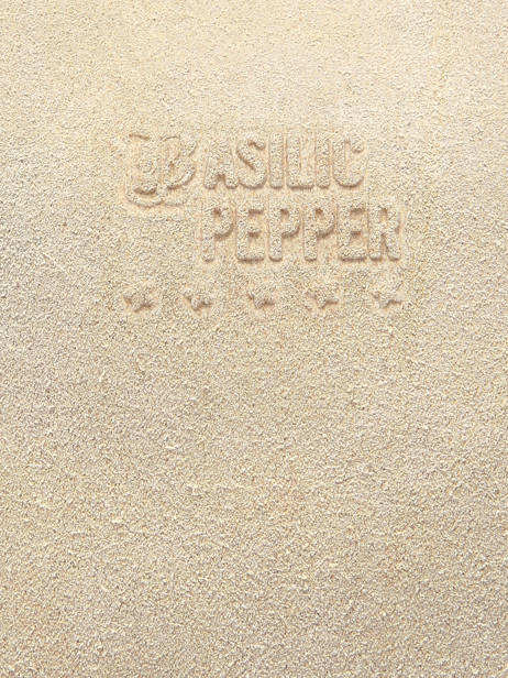 Handbag Houston A4 Leather Basilic pepper Beige houston BHOU22 other view 4