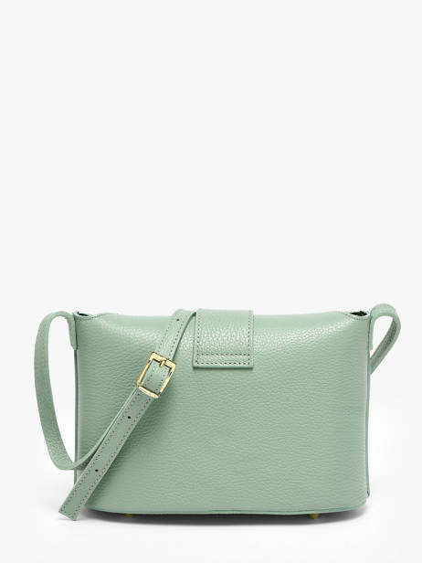 Shoulder Bag Velvet Caviar Leather Milano Green velvet caviar VC25115 other view 4