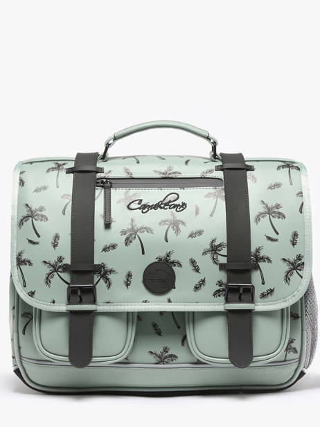 3-compartment Satchel Cameleon Green vintage north PBVWCA41