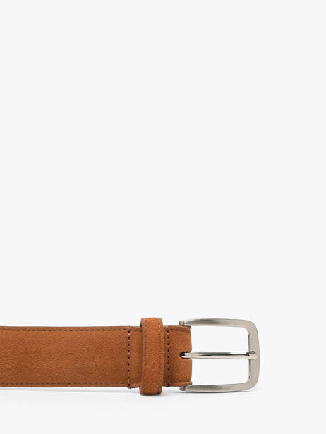 Belt Redskins Brown belt TEDDY other view 1