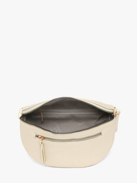 Belt Bag Miniprix Gold sangle 1 other view 1