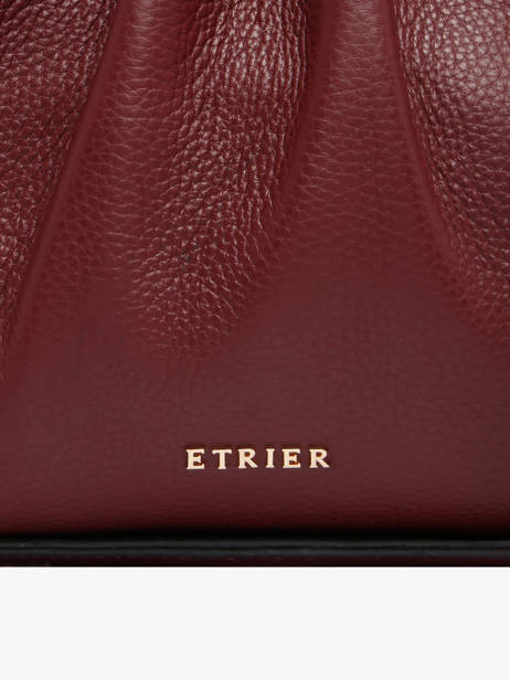 Sac Porté Main Foudre Cuir Etrier Rouge foudre EFOD238M vue secondaire 4