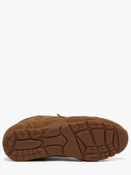 Sneakers Asiel En Cuir Steve madden Marron women 11005159 vue secondaire 4