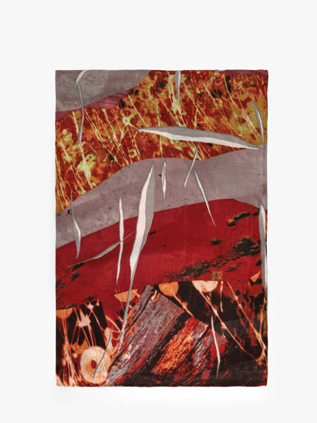 Foulard Rectangulaire 80x185 Viscose Desigual Marron zenith 26WAWA10