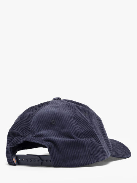 Casquette Dickies Bleu accessoires DK0A4ZAY vue secondaire 2