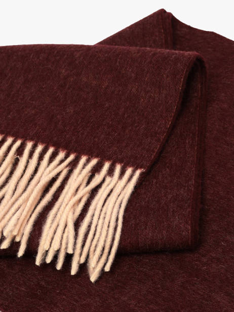 Écharpe Tommy hilfiger Rouge elevated chic AW19121 vue secondaire 1
