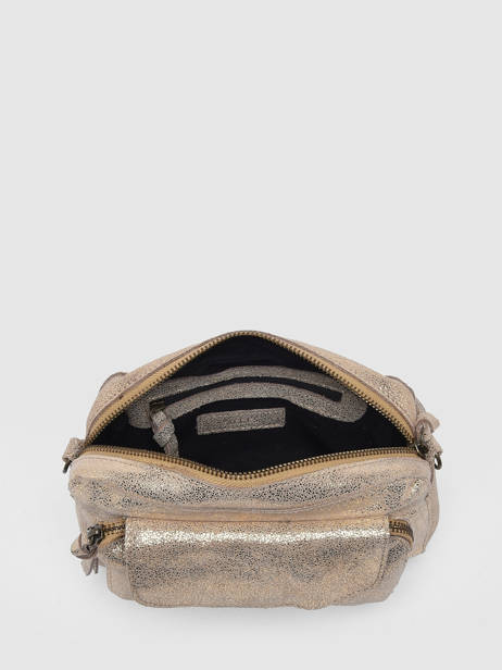 Sac Bandouliere Naina Cuir Pieces Or naina 17063358 vue secondaire 3
