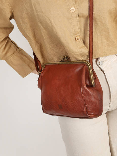 Cross Body Tas Heritage Leather Biba Brown heritage BT22 other view 1
